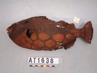 藏品(魚皮掛飾)的圖片